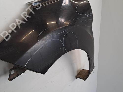 Left front fenders FORD FIESTA VI (CB1, CCN) 1.4 TDCi | BP28395411C41 