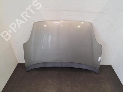 Hood FIAT GRANDE PUNTO (199_) 1.3 D Multijet | BP28396902C1 