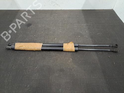 tailgate-lift-support-renault-modus-grand-modus-fjp0_-2004-28409422 main image