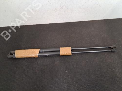 Tailgate lift support RENAULT SCÉNIC III (JZ0/1_) 1.5 dCi | BP29501704C138 