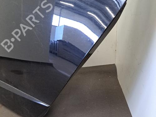 Left rear door RENAULT SCÉNIC III (JZ0/1_) 1.5 dCi | BP28392146C4 