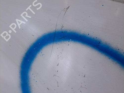 Hood PEUGEOT EXPERT Van (VF3A_, VF3U_, VF3X_) 2.0 HDi 120 | BP29630237C1
