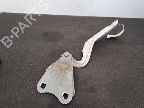 hingedoor-check-strap-renault-twingo-ii-cn0_-2007-28401566 main image