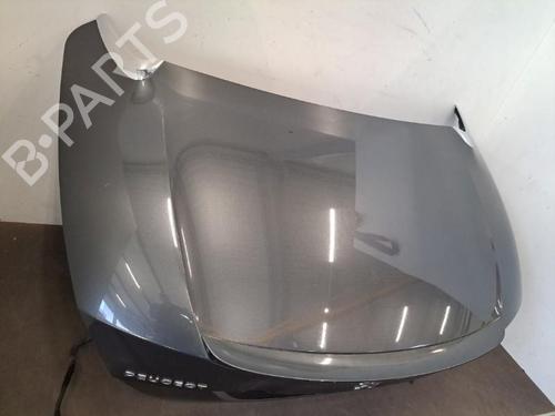 Tailgate PEUGEOT 308 CC (4B_) 1.6 HDi | BP28401642C6 