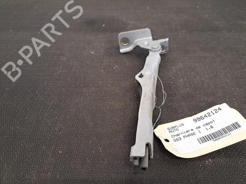 hingedoor-check-strap-citroen-ds3-sa_-2009-2010-2011-2012-2013-2014-2015-2016-28396122 main image