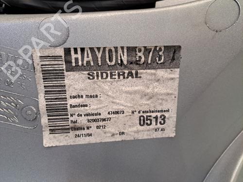 Tailgate RENAULT VEL SATIS (BJ0_) 2.2 dCi (BJ0E, BJ0F) | BP28409281C6 