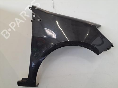 Right front fenders RENAULT CLIO III (BR0/1, CR0/1) 1.2 16V (BR02, BR0J, BR11, CR02, CR0J, CR11) | BP28403209C42