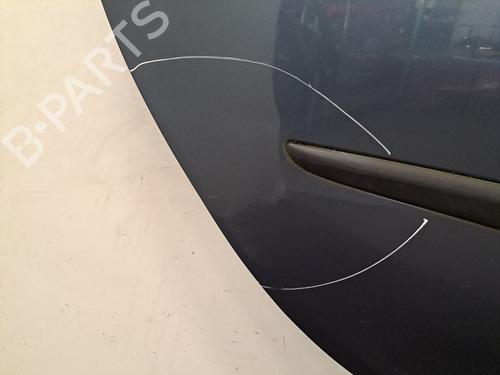 Right rear door RENAULT CLIO III (BR0/1, CR0/1) 1.2 16V (BR02, BR0J, BR11, CR02, CR0J, CR11) | BP28397833C5 
