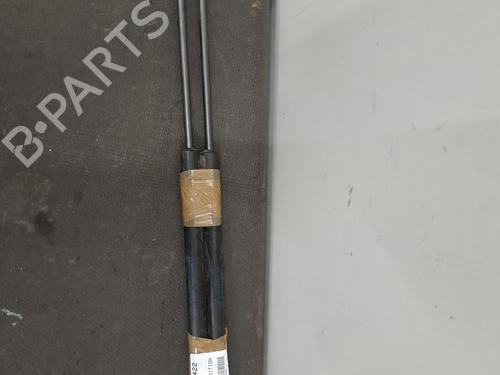 Tailgate lift support FORD FIESTA VI (CB1, CCN) 1.5 TDCi | BP28403882C138 