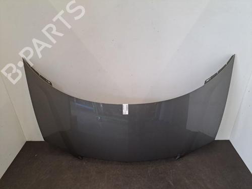 Used Hood LANCIA PHEDRA (179_) 2.0 JTD (179.AXE1A) (107 hp) 28404731