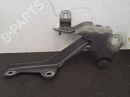 Used Hinge/Door check strap RENAULT LAGUNA III (BT0/1) 2.0 dCi (BT01, BT08, BT09, BT0E, BT0K, BT12, BT1C, BT1D,... (150 hp) 28390158