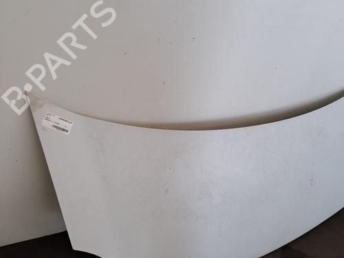 Capot Capot RENAULT KANGOO / GRAND KANGOO II (KW0/1_) 1.5 dCi 90 (KW05, KW08, KW0G, KW11) (90 hp) 28406774 28406774