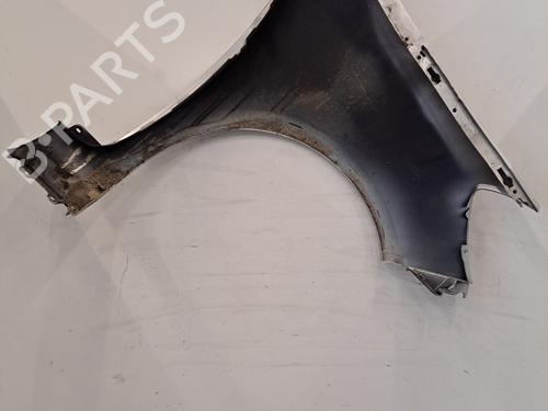 Left front fenders RENAULT CLIO III (BR0/1, CR0/1) 1.5 dCi (BR17, CR17) | BP30391804C41