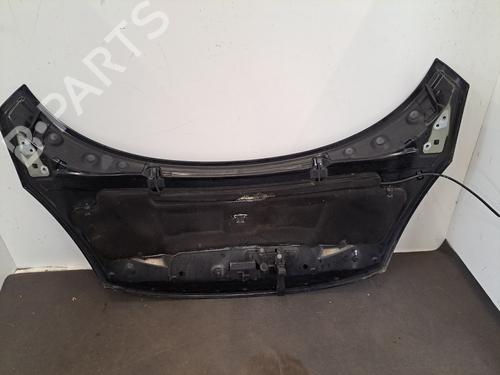 Hood RENAULT SCÉNIC III (JZ0/1_) 1.6 dCi (JZ00, JZ12) | BP28400783C1