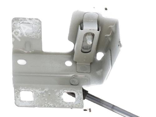 hingedoor-check-strap-renault-trafic-iii-van-fg_-2014-31185236 main image