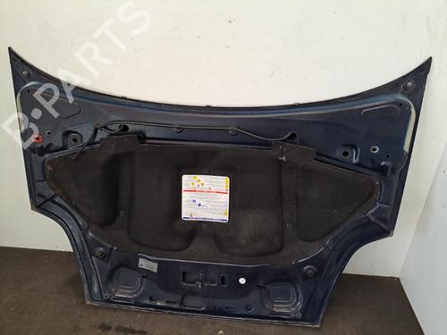 Hood FIAT GRANDE PUNTO (199_) 1.3 D Multijet | BP28409558C1