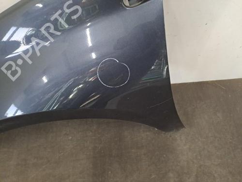 Left front fenders RENAULT LAGUNA III (BT0/1) 2.0 dCi (BT0M, BT0N, BT0S, BT19, BT1F) | BP28390832C41