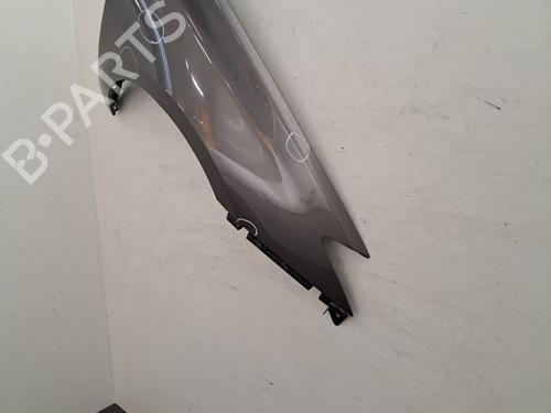 Right front fenders RENAULT LAGUNA III (BT0/1) 2.0 dCi (BT01, BT08, BT09, BT0E, BT0K, BT12, BT1C, BT1D,... | BP28390169C42