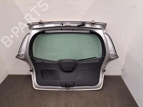 Tailgate RENAULT CLIO III (BR0/1, CR0/1) 1.5 dCi (BR17, CR17) | BP31036094C6