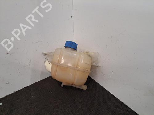 Used Expansion tank FIAT QUBO (225_) 1.3 D Multijet (225CXB1A, 225AXB1A, 225CXB11, 225AXB11,... (75 hp) 28408050