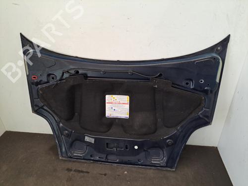 Hood FIAT GRANDE PUNTO (199_) 1.3 D Multijet | BP28409558C1