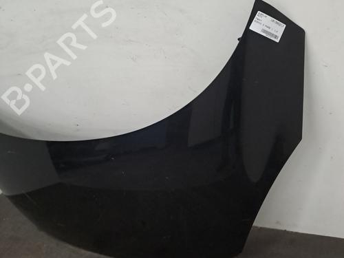 Hood RENAULT SCÉNIC III (JZ0/1_) 1.9 dCi (JZ0J, JZ1J, JZ1K, JZ1S) | BP28406940C1
