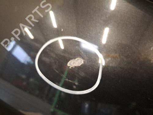 Tailgate RENAULT CLIO III (BR0/1, CR0/1) 1.5 dCi (C/BR0G, C/BR1G) | BP28392378C6