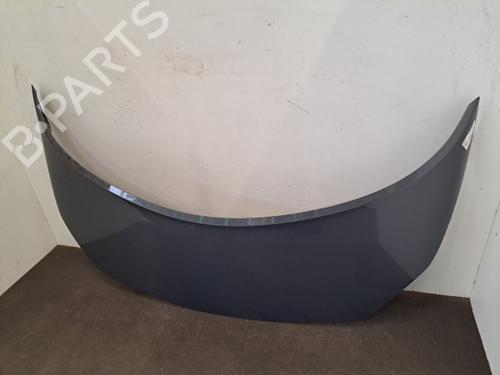 Hood RENAULT SCÉNIC II (JM0/1_) 1.6 16V (JM1R) | BP28398285C1