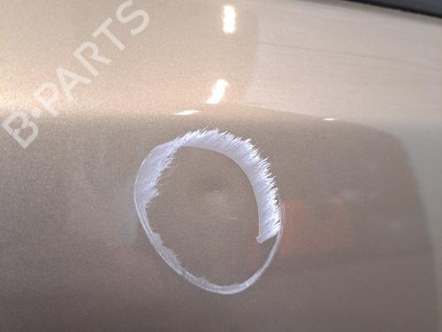 Right front door FIAT PANDA (169_) 1.3 D Multijet (169.AXC1A) | BP28406199C3 