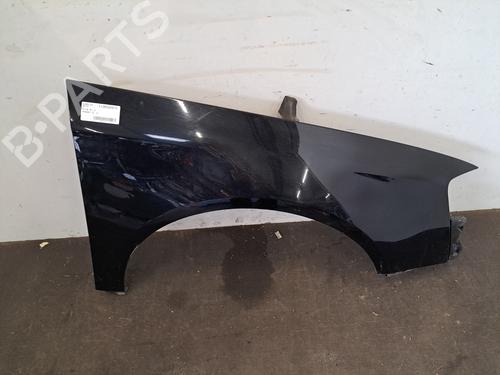 Used Right front fenders VW PASSAT B6 (3C2) 2.0 TDI 16V (140 hp) 31814249