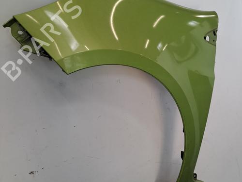 Left front fenders RENAULT CLIO III (BR0/1, CR0/1) 1.5 dCi (C/BR0G, C/BR1G) | BP29268556C41 