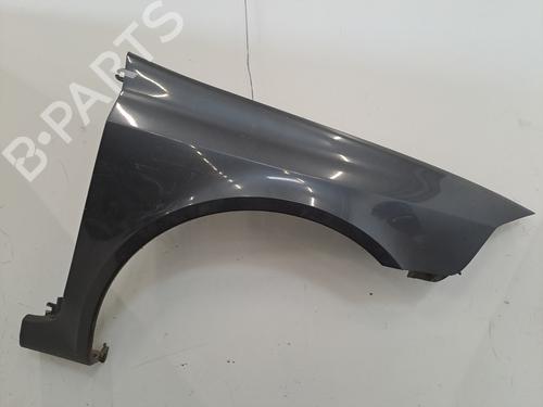 Used Right front fenders RENAULT LAGUNA II (BG0/1_) 1.9 dCi (BG1A, BG1W, BG0G) (110 hp) 29499010