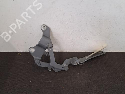 Hinge/Door check strap BMW 3 (E90) 316 d | BP28392177C146 