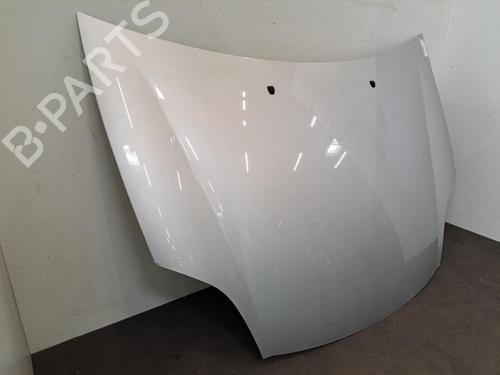 Used Hood FIAT BRAVO II (198_) 1.9 D Multijet (198AXE1A) (90 hp) 28402579