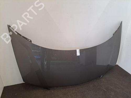 Hood LANCIA PHEDRA (179_) 2.0 JTD (179.AXE1A) | BP28404731C1 