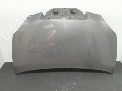 Used Hood LANCIA YPSILON (843_) 1.2 (843.AXA1A) (60 hp) 28399859