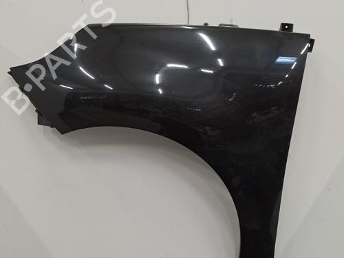 Guarda-lamas esquerdo Guarda-lamas esquerdo RENAULT GRAND SCÉNIC III (JZ0/1_) 1.9 dCi (JZ0J, JZ0N, JZ1K, JZ1S) (131 hp) 28403861 28403861