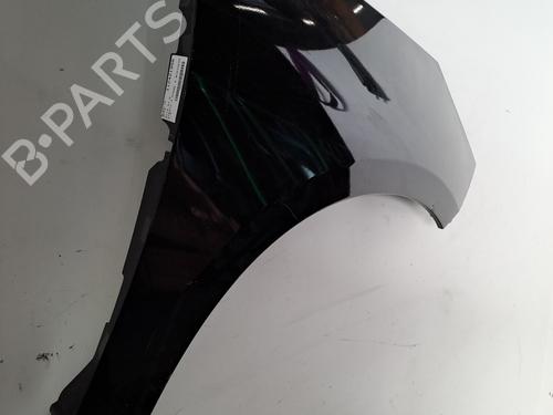 Right front fenders RENAULT SCÉNIC III (JZ0/1_) 1.5 dCi | BP29307424C42 