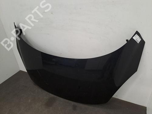 Hood RENAULT SCÉNIC III (JZ0/1_) 1.9 dCi (JZ0J, JZ1J, JZ1K, JZ1S) | BP28406940C1