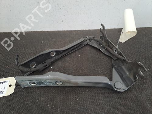 Used Hinge/Door check strap VW POLO V (6R1, 6C1) 1.6 TDI (90 hp) 29146990