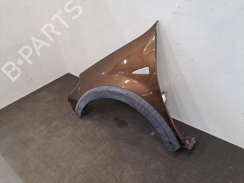 Left front fenders DACIA SANDERO 1.5 dCi | BP28396619C41 