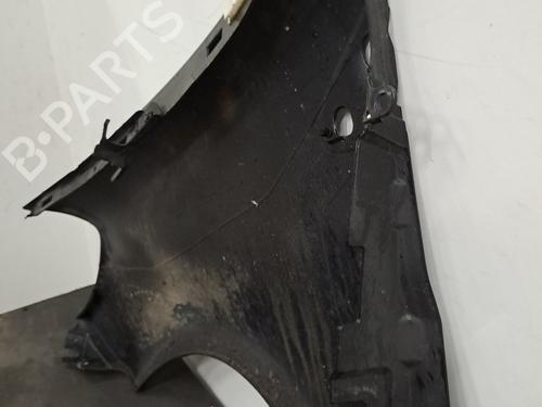 Left front fenders RENAULT CLIO III (BR0/1, CR0/1) 1.2 16V (BR02, BR0J, BR11, CR02, CR0J, CR11) | BP32317949C41 