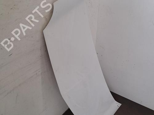 Used Hood Hood RENAULT KANGOO Express (FW0/1_) 1.5 dCi 70 (FW0A, KW0V) (68 hp) 40129281 40129281