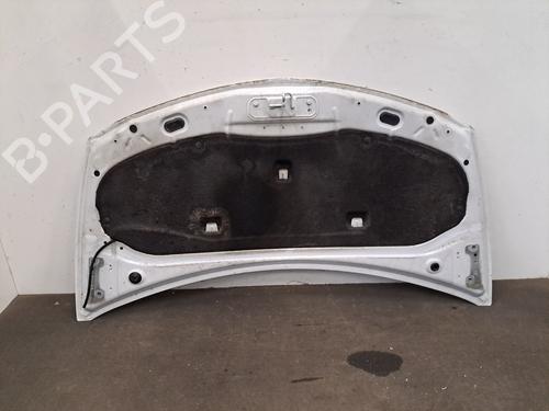 Hood RENAULT CLIO III (BR0/1, CR0/1) 1.5 dCi (C/BR0G, C/BR1G) | BP29499014C1 