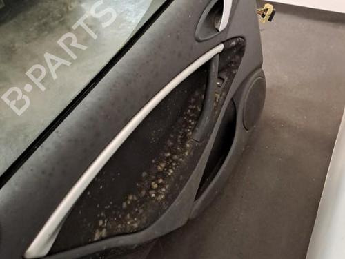 Left rear door CITROËN C5 II (RC_) 1.6 HDi (RC8HZB) | BP28398899C4 