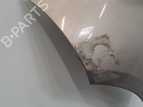 Left front fenders MERCEDES-BENZ A-CLASS (W169) A 180 CDI (169.007, 169.307) | BP28409908C41 
