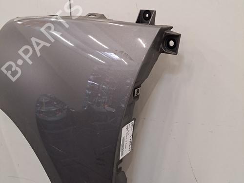 Left front fenders RENAULT GRAND SCÉNIC III (JZ0/1_) 1.6 dCi (JZ00, JZ12) | BP29299975C41 