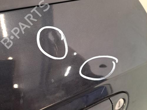 Left front door AUDI A3 (8P1) 1.9 TDI | BP31216842C2