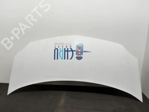 Used Hood RENAULT KANGOO Express (FW0/1_) 1.5 dCi 70 (FW0A, KW0V) (68 hp) 28399932