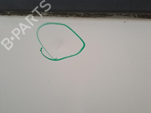 Left front door RENAULT MEGANE II (BM0/1_, CM0/1_) 1.5 dCi (BM1E, CM1E) | BP28389404C2